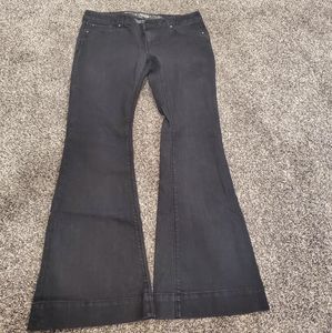 Express size 12 Stella Flare Black